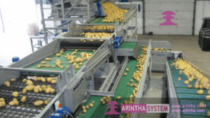 Fruit Processing Equipment