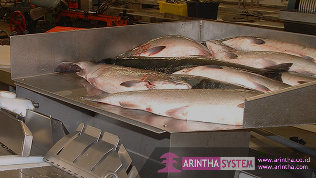 Fish Processing Equipment